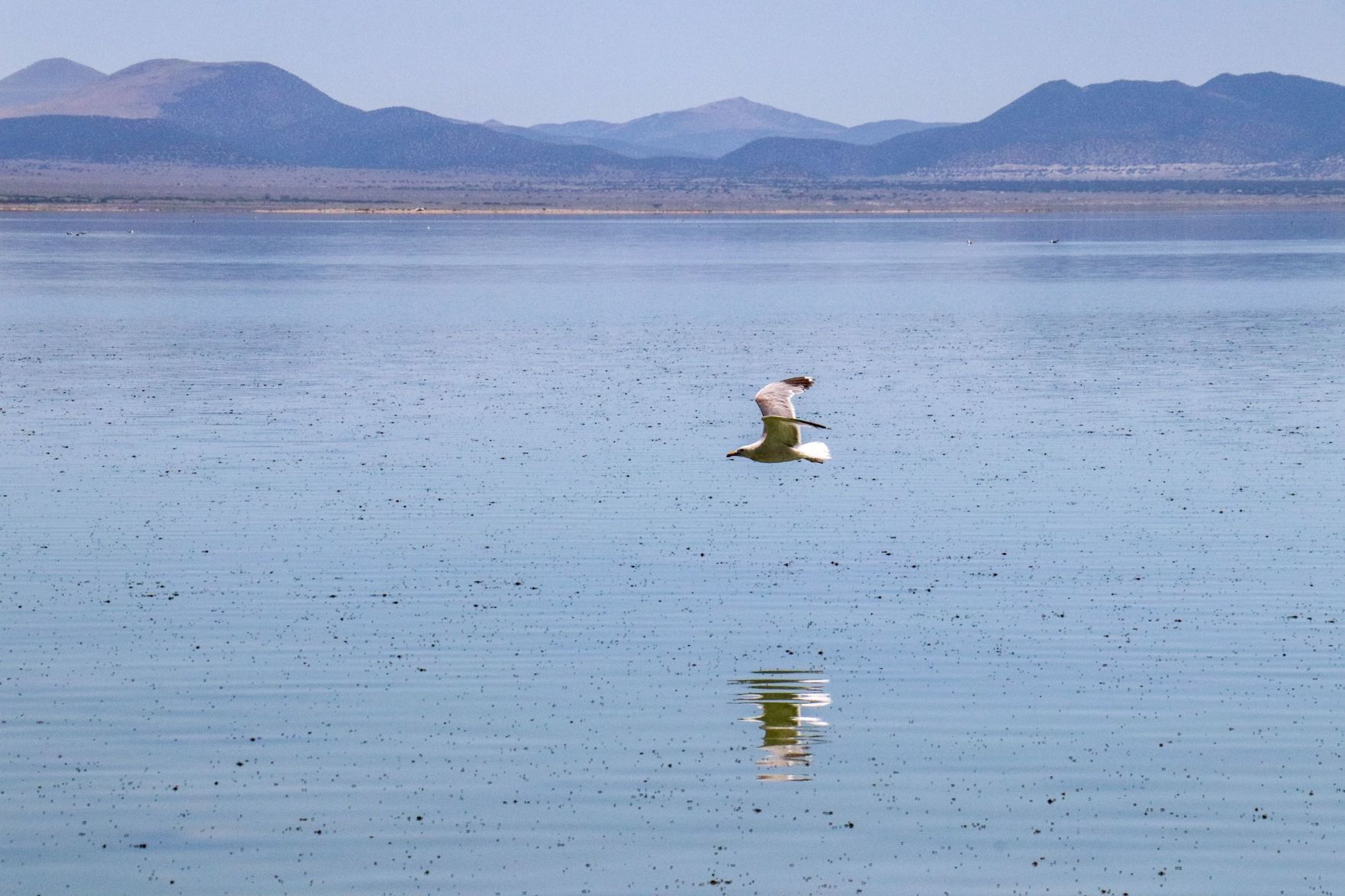 Mono Lake
